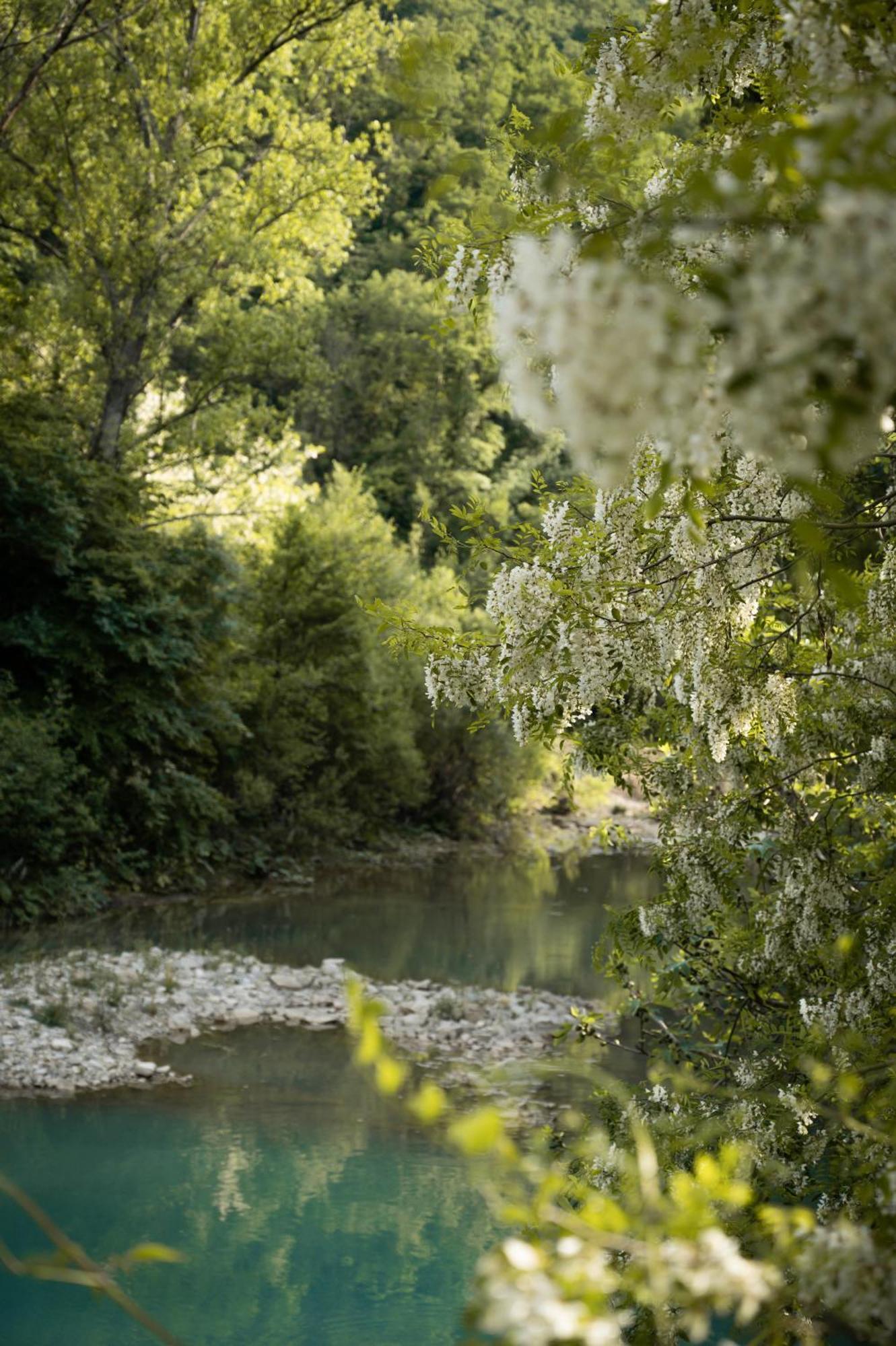Glamping Dragonja River Šmarje Exterior foto